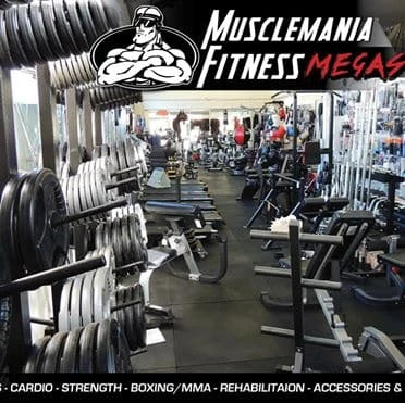 Musclemania-fitness EQUIPMENT CARDIO WINTER SPECIAL DEAL! EASYRIDE PROGRAMMABLE RECUMBENT BIKE