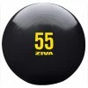 Musclemania Fitness MegaStore Special - Ziva Commercial-Grade Anti-Burst Core Fit Ball Functional Strength