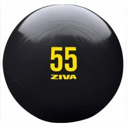 Musclemania Fitness MegaStore Special - Ziva Commercial-Grade Anti-Burst Core Fit Ball Functional Strength