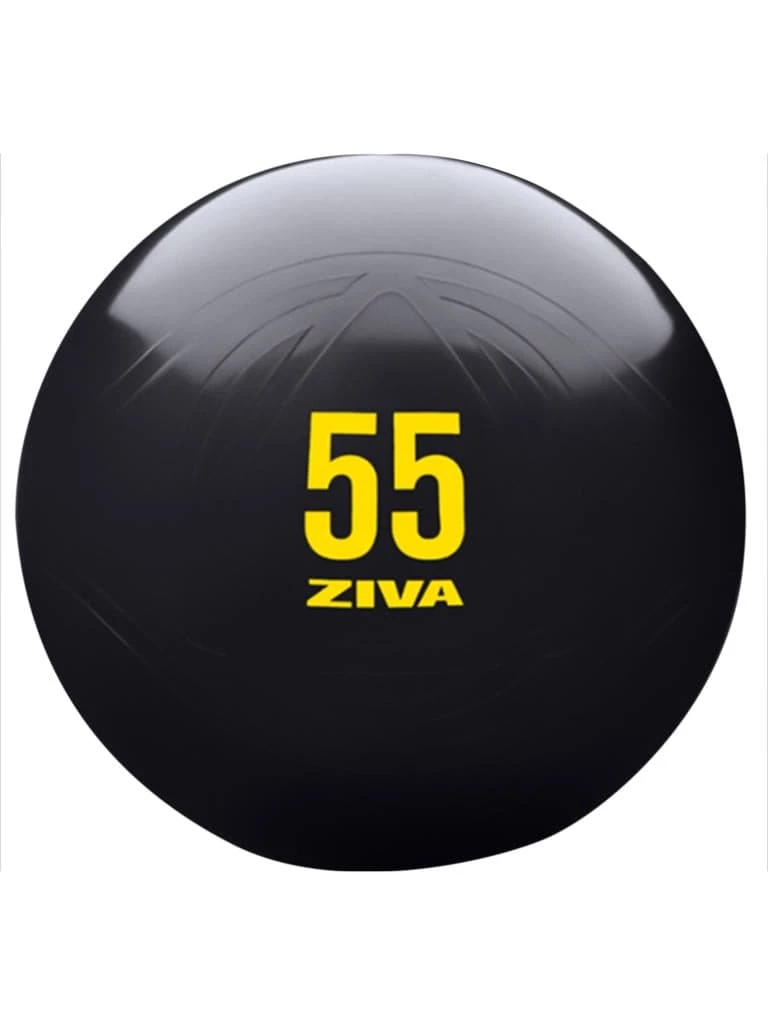 Musclemania Fitness MegaStore Special - Ziva Commercial-Grade Anti-Burst Core Fit Ball Functional Strength