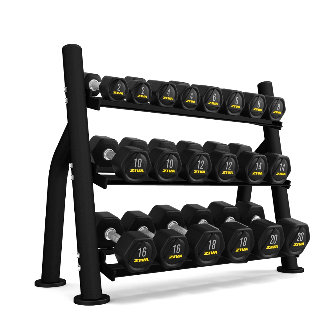 Muscle Mania Fitness MegaStore SALE- Ziva ST2 Commercial-Grade 10 Pair Dumbbell Storage Rack (Rack Only)