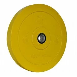 Musclemania-fitness EQUIPMENT STRENGTH SPECIAL: Bodyworx Premium Quality Colour Olympic Bumper Plates, $8/KG!