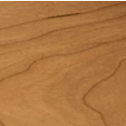 Musclemania-fitness Nohrd Bike, From: