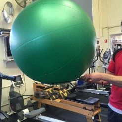 Musclemania-fitness Weights & Barbells Fit Ball & Gym Ball Metal Wall Storage Ring Bracket - Special Pricing