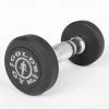 Musclemania-fitness GOLD'S GYM PREMIUM RUBBER DUMBBELLS, Sold In Pairs EQUIPMENT STRENGTH