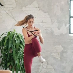 Musclemania Fitness MegaStore Nohrd Wall Compact – Fitness Wall EQUIPMENT STRENGTH