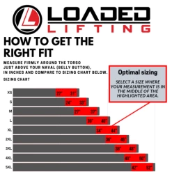 Musclemania Fitness MegaStore Loaded Lifting Economy Lever Belt 10mm (Black/Blue) Strength Accessories